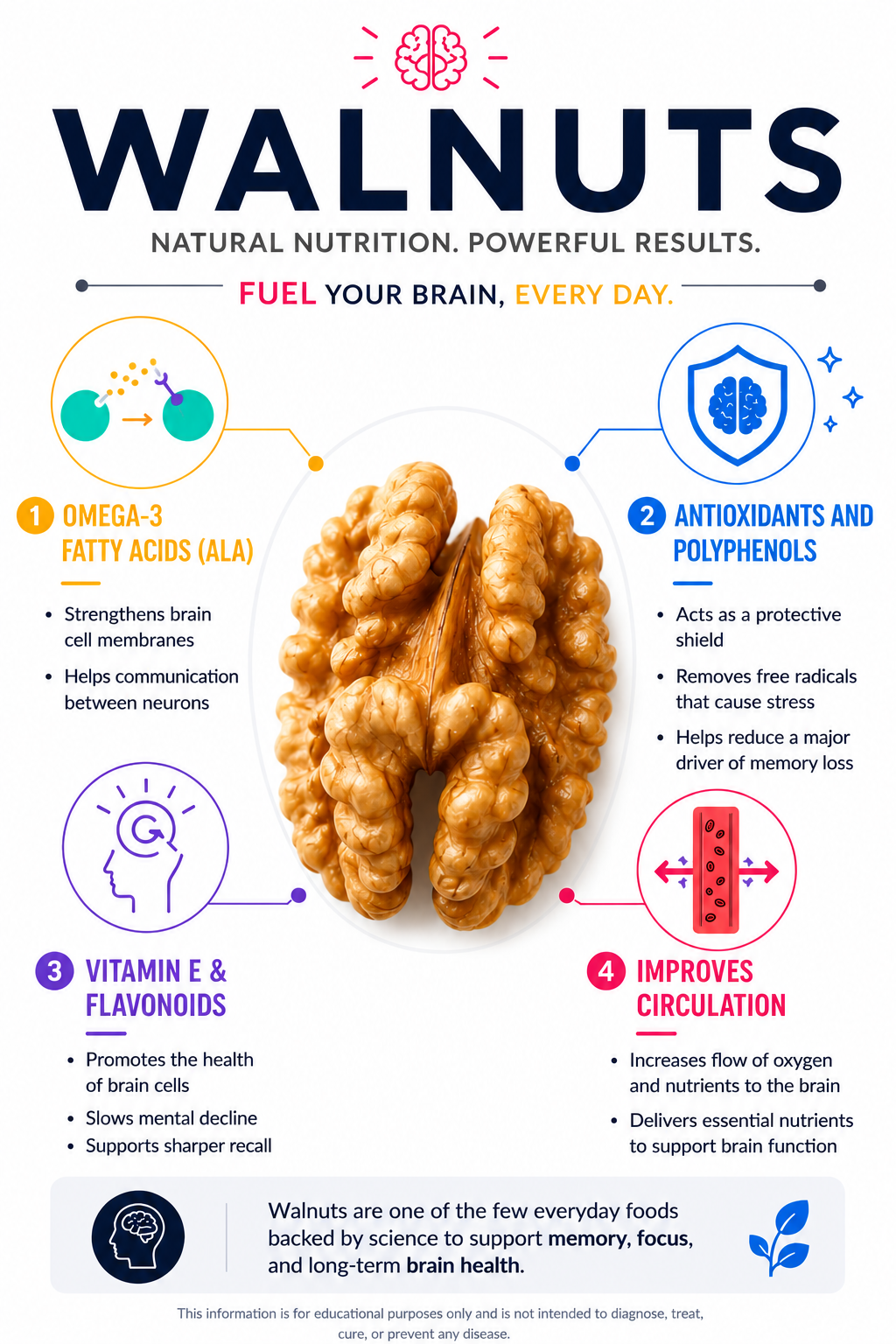Walnuts nutrition infographic showing omega-3 fatty acids, antioxidants, vitamin E, flavonoids, and circulation benefits.